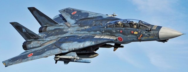 タミヤ 1/48 航空自衛隊 F-14J改 モナキャット monacat